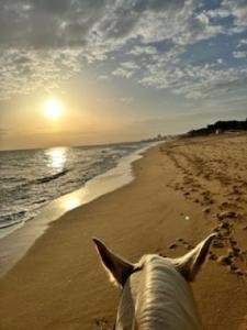 Apartment Albufeira Algarve Luaran gambar